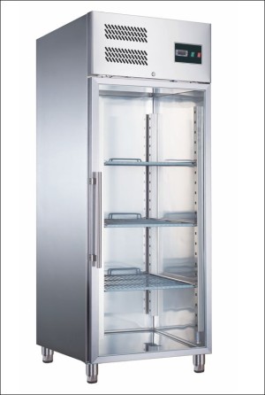 SARO Tiefkühlschrank Modell EGN 650 BTG mit Glasstür 465-3022