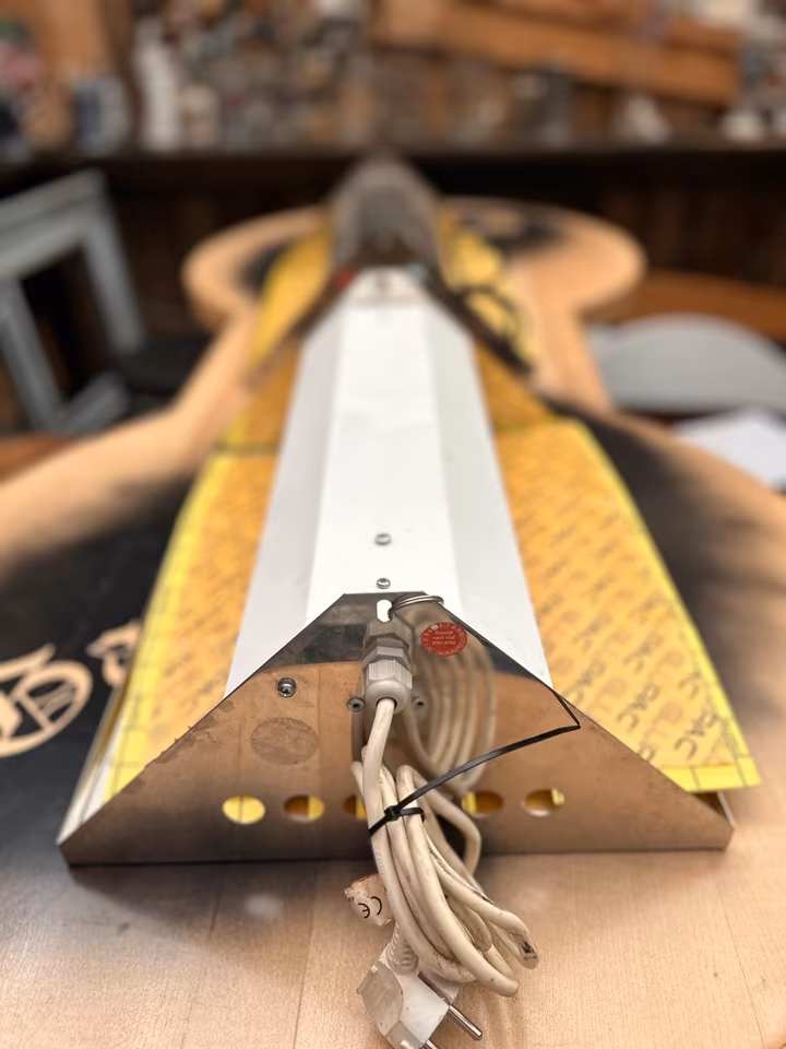 2 x Fliegenfänger, Fliegenfalle